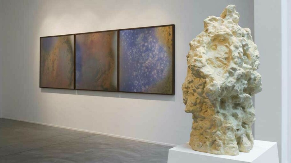 Jitish Kallat, Exhibition view. Courtesy of Galerie Daniel Templon