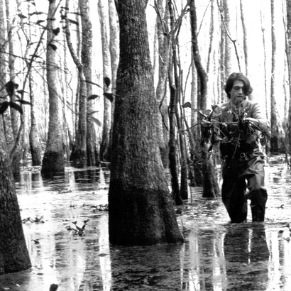 Nelle paludi della Louisiana