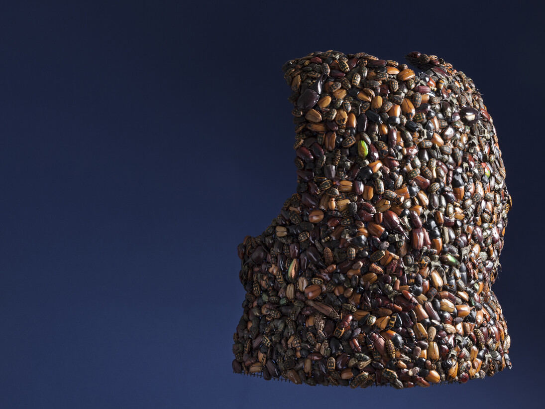 Jan Fabre, Armour (Breast), 1997, beetles on iron wire, 46 x 41 x 22.5cm. Photo Claudio Abate, courtesy the artist and Ronchini Gallery
