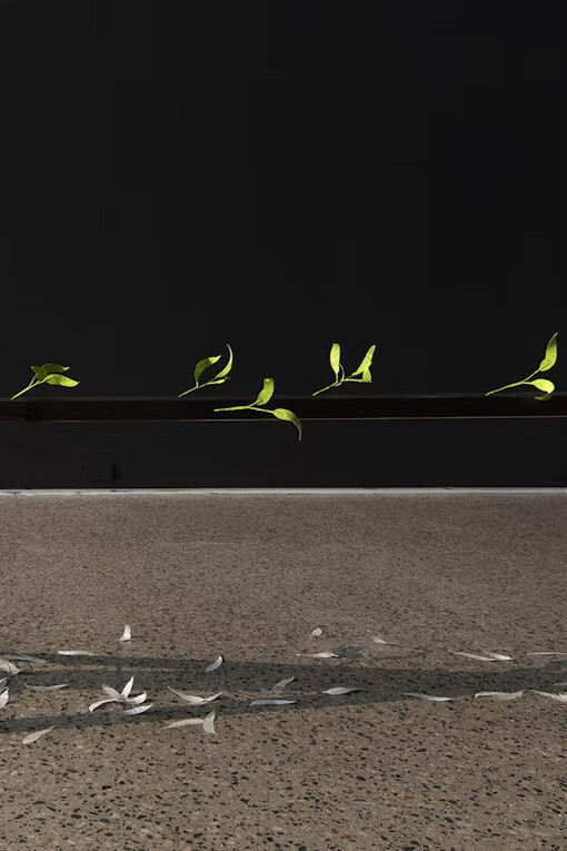 Jenna Lee, Burn before reading, exhibition view. Courtesy of the artist and Gertrude Glasshouse. Photo by Christian Capurro