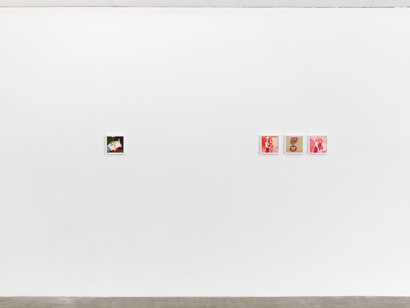 Caroline Weinstock, The dead pet, exhibition view. Courtesy of Bel Ami