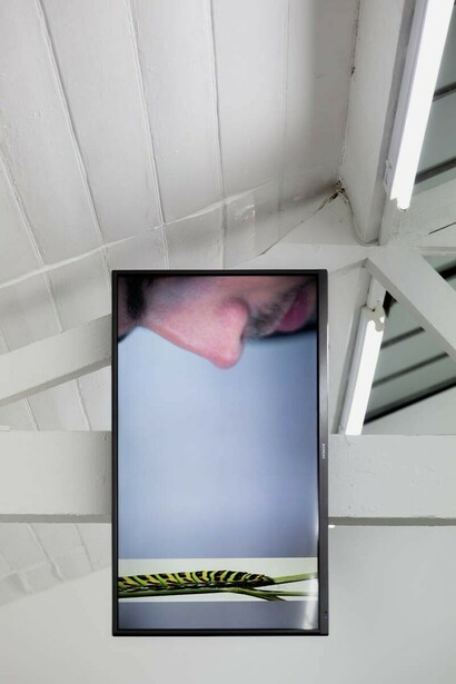 Alice Khalilova, No Adieu, 2014, HD Video, portrait format, looped, P.O.A.