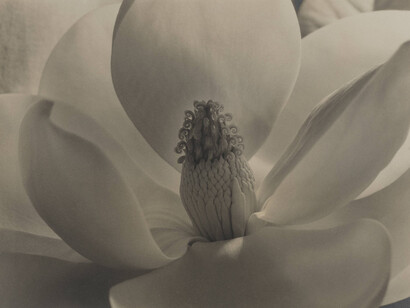 Mythos, Psyche, Eros. Courtesy of San Francisco Museum of Modern Art