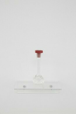 How the mind comes to be furnished James Irwin & Lilah Fowler, 2016 