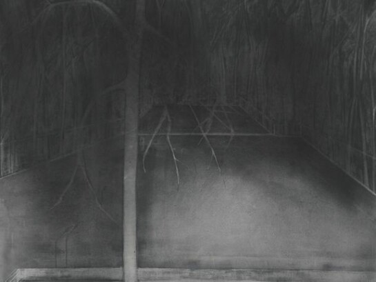 Silke Otto-Knapp, Stage (North & South) 2012, 160x140cm
