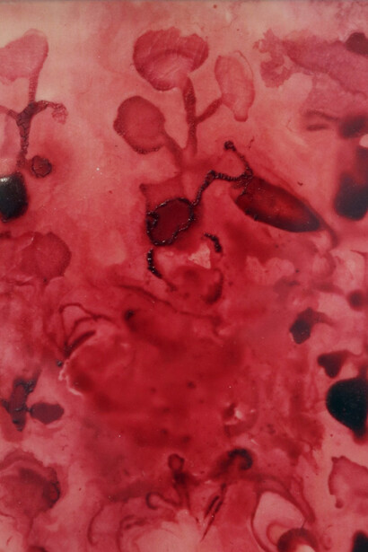 Summer Salon. Courtesy of Eclectica Galleries