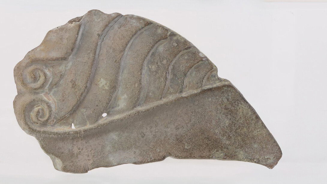 Ancient sindica and semibratneye site: The 150th anniversary of the study. Courtesy of the State Hermitage Museum