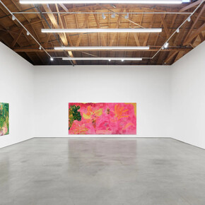 Patricia Iglesias Peco, Las plantas de ese jardín conservaban en la sombra sus colores, exhibition view. Courtesy of François Ghebaly