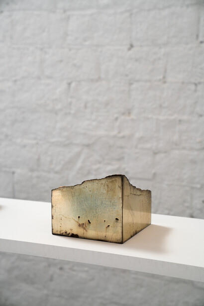 Michael Joo. Courtesy of Galeria Carles Taché