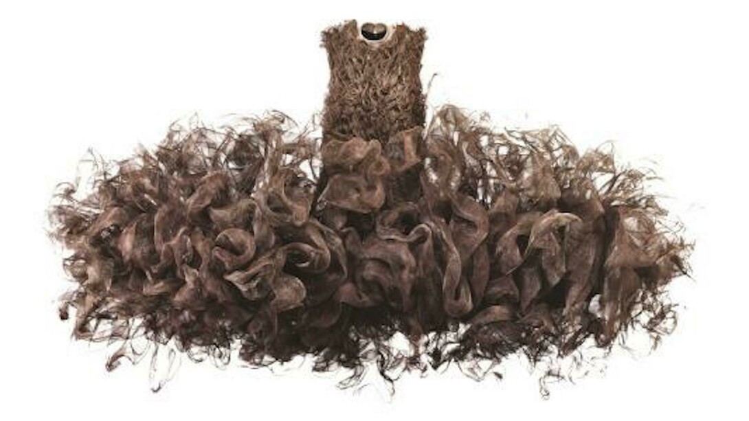 Iris van Herpen. Courtesy of Dallas Museum of Art