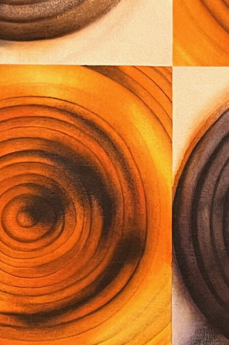 Images que dicen sin decirlo