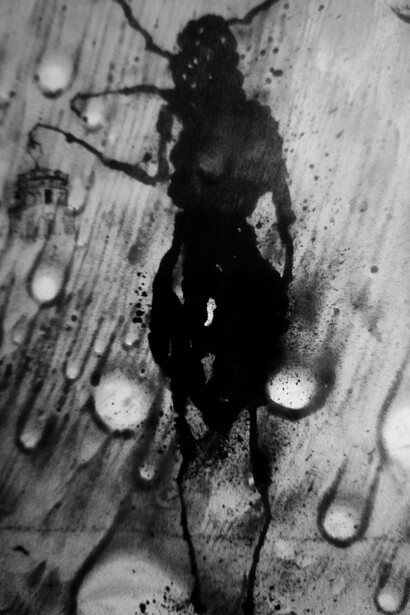 Il cavaliere errante