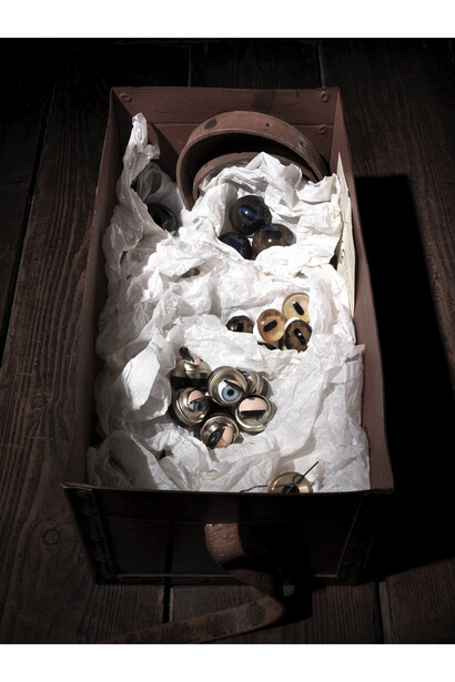 Bepi Ghiotti, Inside Carol Rama, 2012-2014