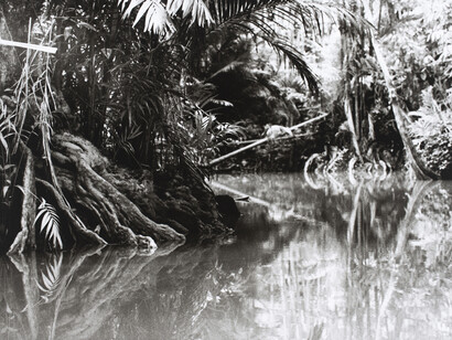 Metamorphosis. Brazil 1998. Courtesy of Weltmuseum Wien