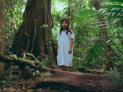 A ave Plantadora de açaí ressurge: um exemplo poderoso do papel das Terras Indígenas na preservação da biodiversidade e na promoção da vida