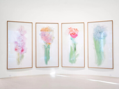 Michel Paysant, Ver Monet, vista de exhibición. Cortesía del Musée de l'Orangerie