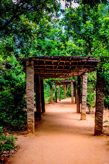 Since its establishment in 2000, the 50-acre Botanical Gardens have grown into a vibrant space featuring over 1,300 plant species organized in themed displays. The gardens also include a herbarium, a high-capacity plant nursery, and several venues for hosting educational workshops and training events