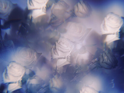 THE LABYRINTH - Indira Cesarine - The Untitled Space 