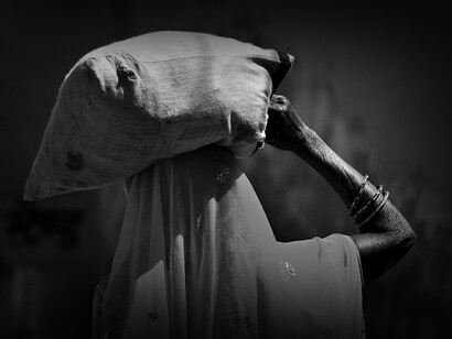 Parece que los países centrales están más interesados en la aniquilación que en la conservación del planeta