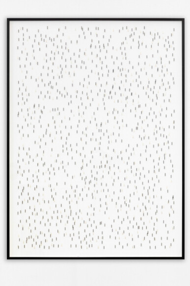 ParaParticular. Courtesy of 303 Gallery