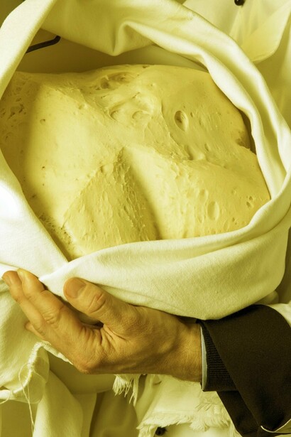 La pasta madre della pasticceria Filippi