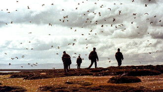 Marineros británicos del HMS Cardiff llegan a tierra en la isla Borbón (Pebble Island), junio de 1982