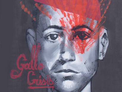 Diego Sueño, Gallo Crisis