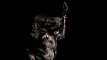 «Yo no quiero una tumba ni una cruz ni corona»