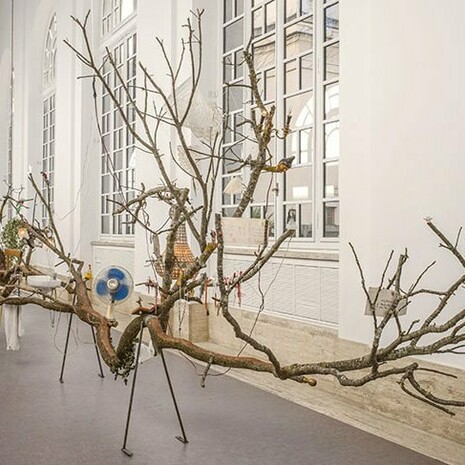 . Courtesy of the artist and Spazio Maria Calderara