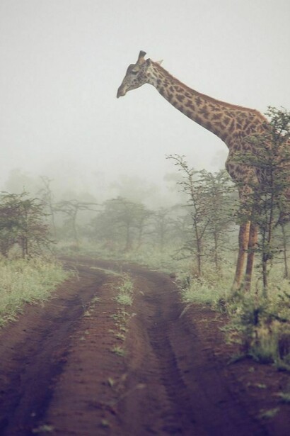 San road in Africa