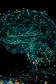 Le connessioni tra metafisica e neuroscienze