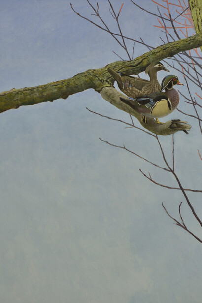Ron Kingswood, Early morning wood ducks (detail), 2026. Courtesy of LewAllen Galleries