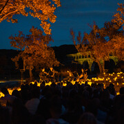 Candlelight. Courtest of Fever