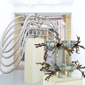 Luciana Lamothe. Courtesy of Alberta Pane