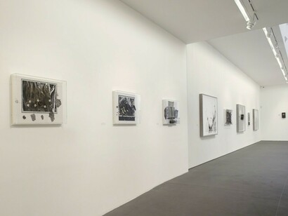 Ricardo Brey, Exhibition view. Courtesy of The Galerie Nathalie Obadia