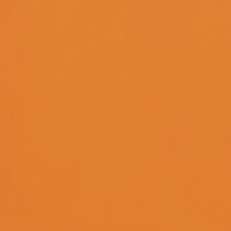 Macaparana, Sem título (detail), 2024. Courtesy of Proyectos Monclova