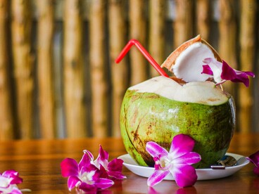 O coco fresco, acompanhado pelas flores tropicais, transforma uma simples pausa à beira-mar em uma experiência visualmente delicada. Em Maragogi, a paisagem paradisíaca se estende para além da praia e encontra-se também nos pequenos momentos de descanso vividos durante a viagem