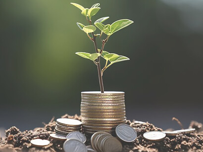 The visual metaphor of currency entwined with a flourishing plant encapsulates the commitment of nations to green investments, symbolizing a harmonious balance between economic growth and ecological well-being