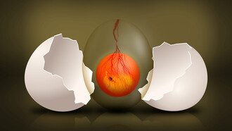 Se l’uovo rimanesse sempre intatto, se non ci fosse nessuna frattura, esso non farebbe sorgere da sé alcuna vita