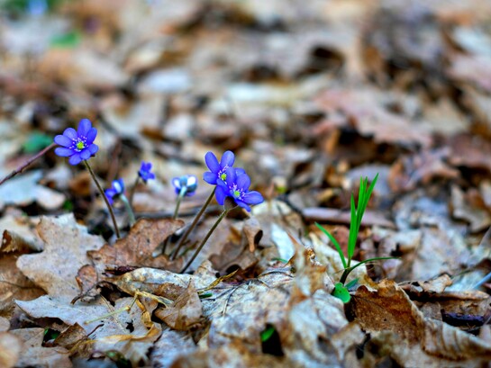 Ogni viaggio autentico continua a intrecciare passato e futuro, ricordandoci che ogni arrivo è soltanto l'inizio di un nuovo cammino