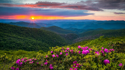 Shenandoah National Park, Virginia, United States