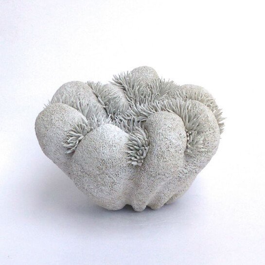 Ellen van der Woude. Courtesy of Galerie Schortgen