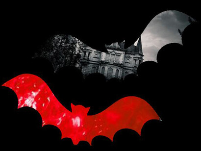 Dracula´s book cover