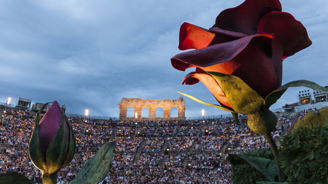 Arena, 2015 © Foto Ennevi