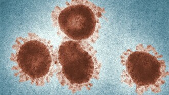 Coronavirus