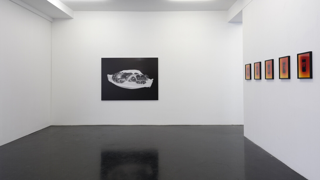 Leon Kahane, Dialog dialog dialog, exhibition view. Courtesy of Galerie Nagel Draxler