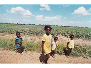 William Eggleston, Untitled (From the Troubled Waters Portfolio) 1980, Dye transfer print, Edition 17/30, 47.3 x 62.9 x 3.8 cm © Eggleston Artistic Trust. Courtesy Cheim & Read, New York
