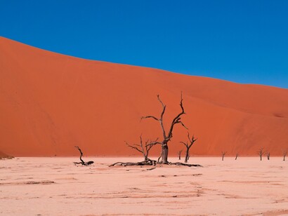 Desert