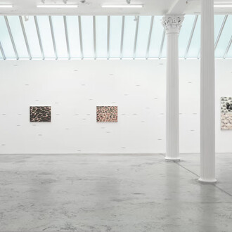 Tran Luong, When sky merges with Earth, exhibition view. Courtesy of Bortolami