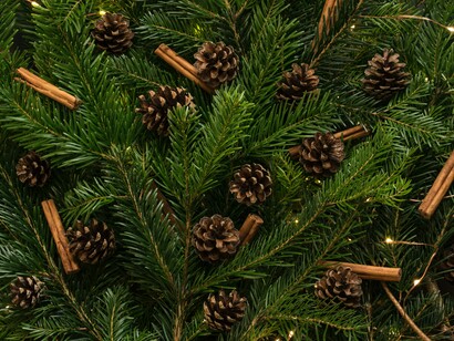 Mentre aspettiamo la felicità, abbiamo la possibilità di domandarci che cosa sia